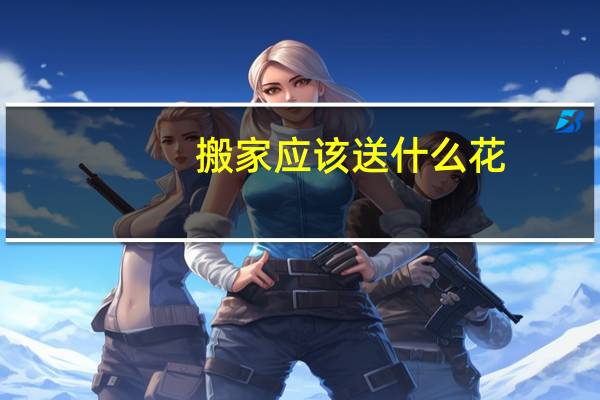 搬家应该送什么花