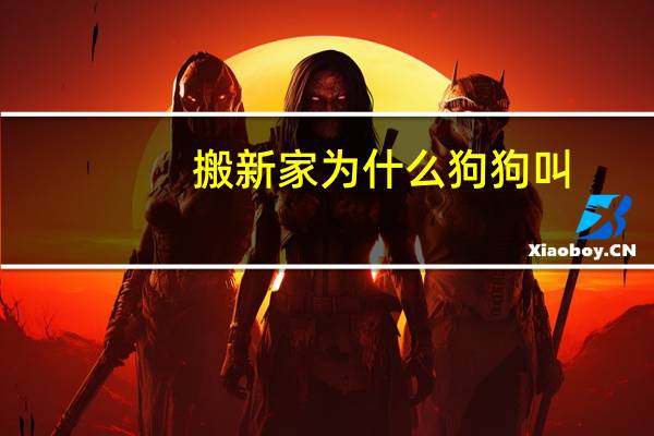 搬新家为什么狗狗叫