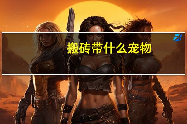 搬砖带什么宠物