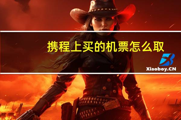 携程上买的机票怎么取
