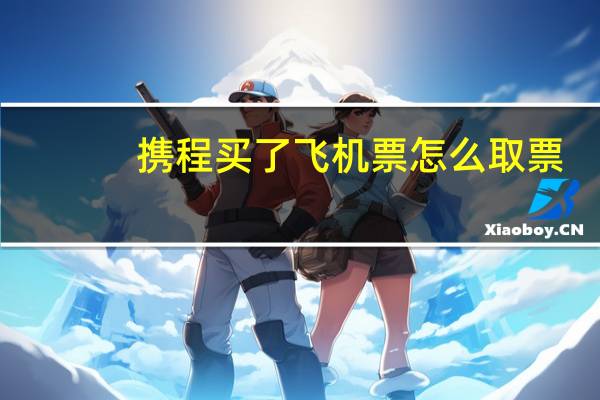 携程买了飞机票怎么取票