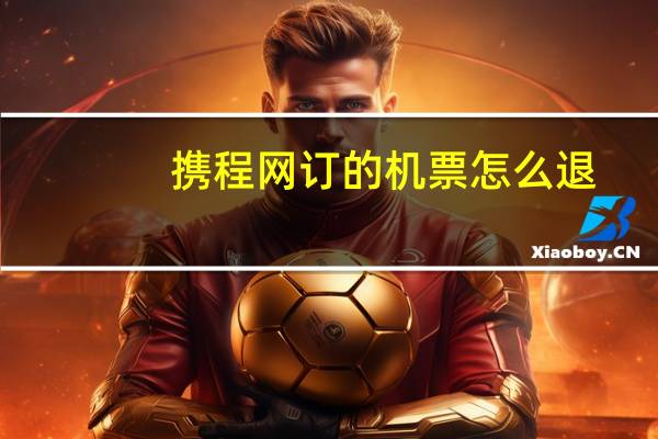 携程网订的机票怎么退