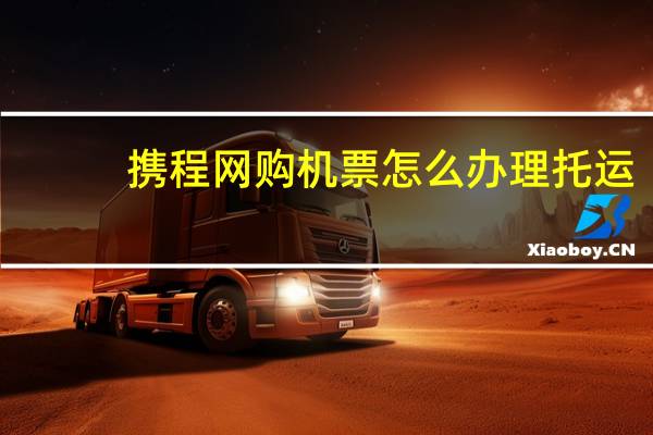 携程网购机票怎么办理托运