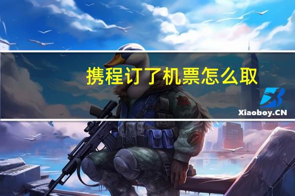 携程订了机票怎么取