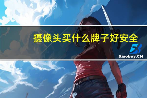 摄像头买什么牌子好安全