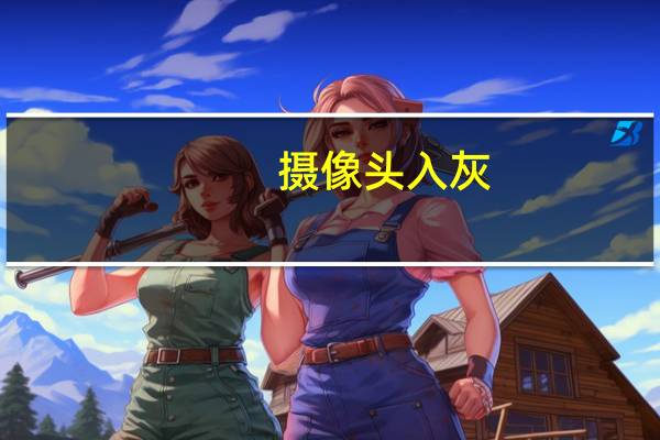 摄像头入灰