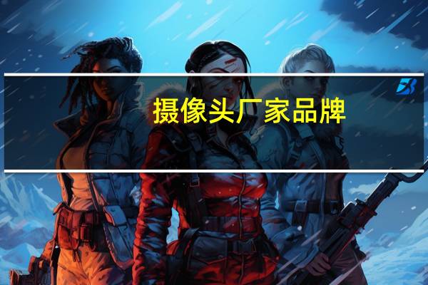 摄像头厂家品牌