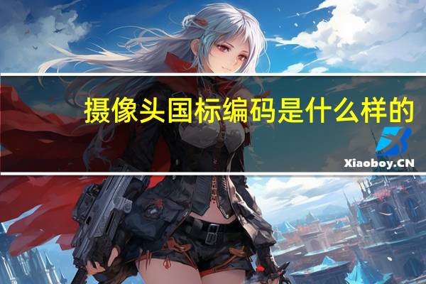 摄像头国标编码是什么样的