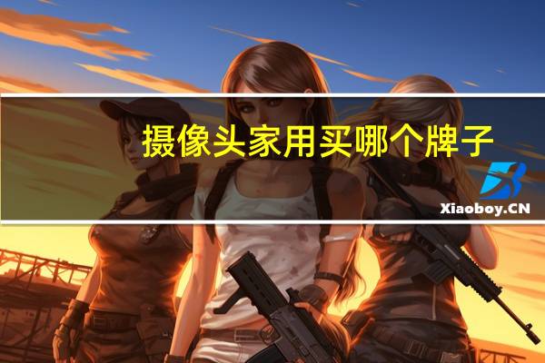 摄像头家用买哪个牌子