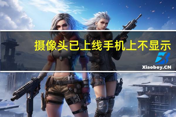 摄像头已上线手机上不显示