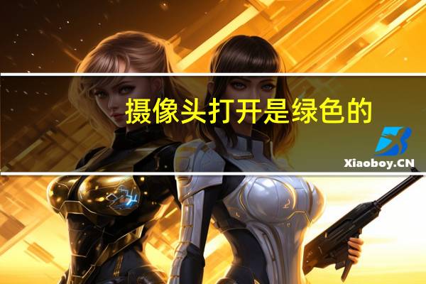 摄像头打开是绿色的
