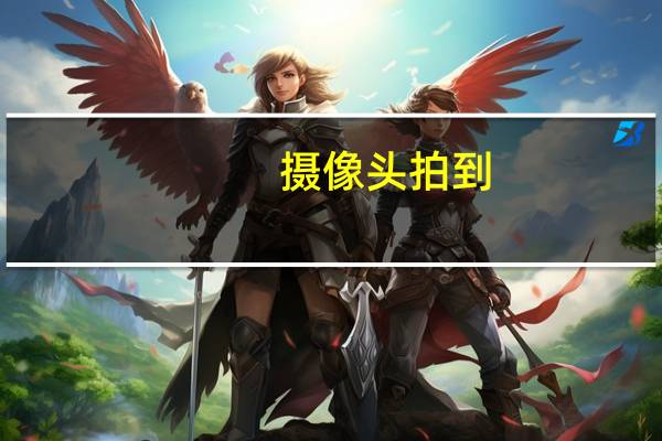 摄像头拍到