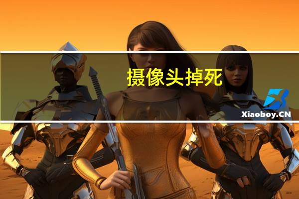 摄像头掉死