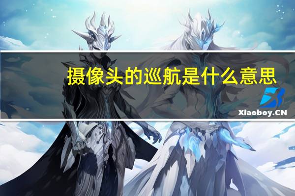 摄像头的巡航是什么意思