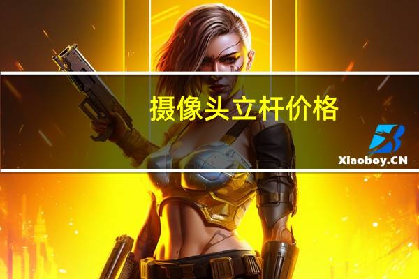 摄像头立杆价格