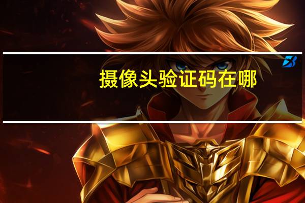 摄像头验证码在哪