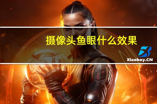 摄像头鱼眼什么效果