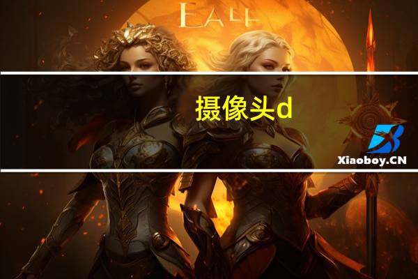 摄像头d