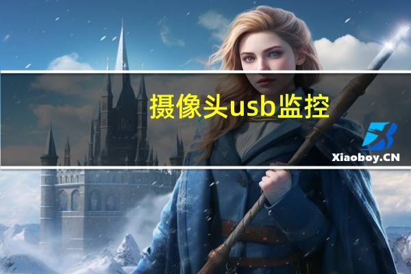 摄像头usb监控