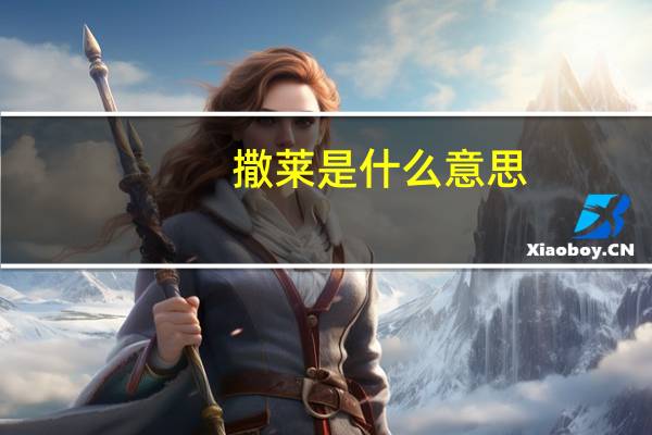 撒莱是什么意思