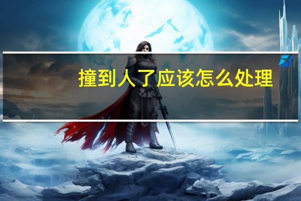撞到人了应该怎么处理
