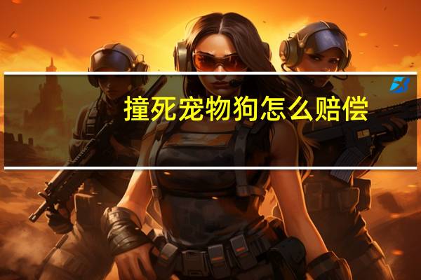 撞死宠物狗怎么赔偿
