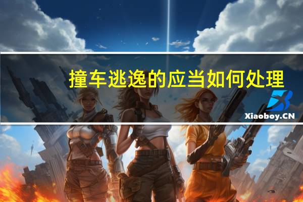 撞车逃逸的应当如何处理