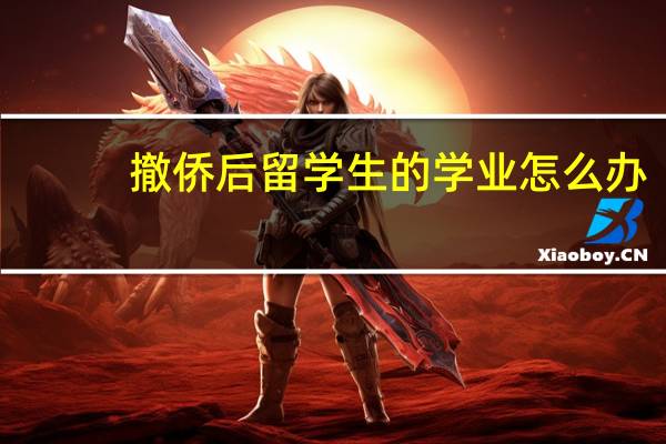 撤侨后留学生的学业怎么办