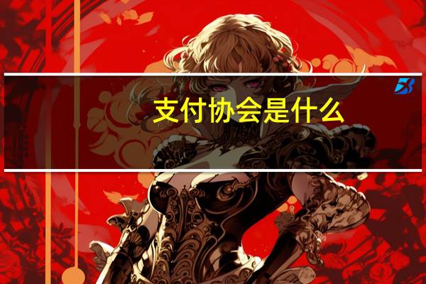 支付协会是什么