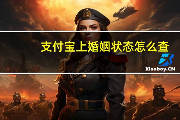 支付宝上婚姻状态怎么查
