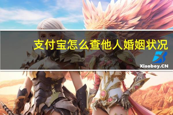 支付宝怎么查他人婚姻状况