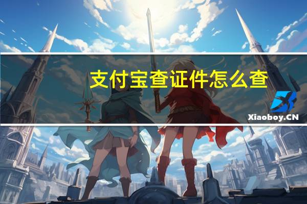 支付宝查证件怎么查