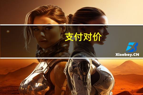 支付对价