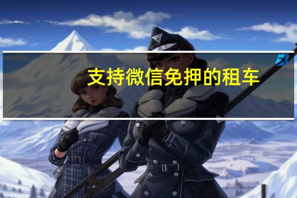 支持微信免押的租车