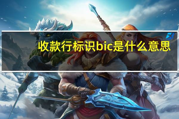 收款行标识bic是什么意思