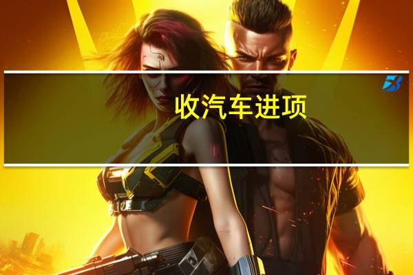 收汽车进项