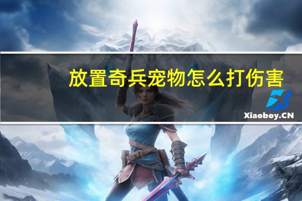 放置奇兵宠物怎么打伤害