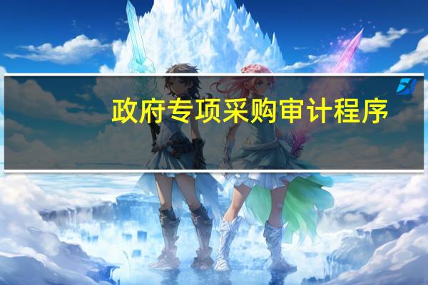 政府专项采购审计程序