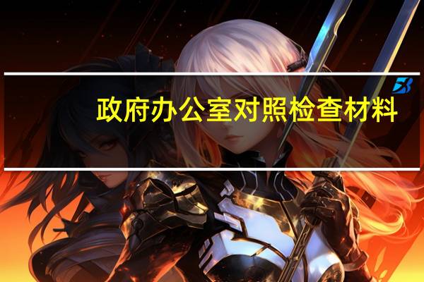 政府办公室对照检查材料