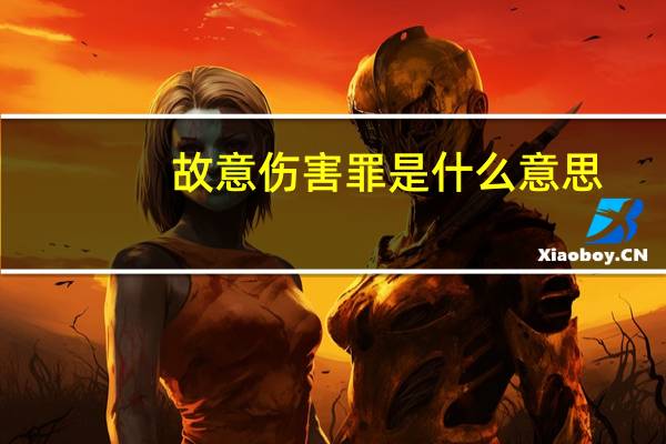 故意伤害罪是什么意思