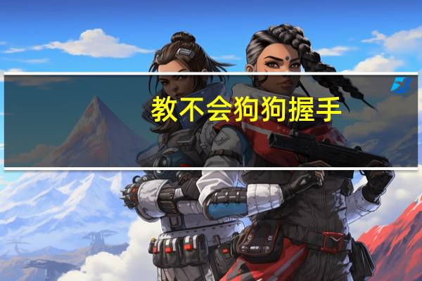 教不会狗狗握手