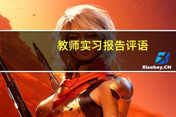 教师实习报告评语