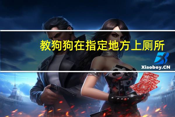 教狗狗在指定地方上厕所