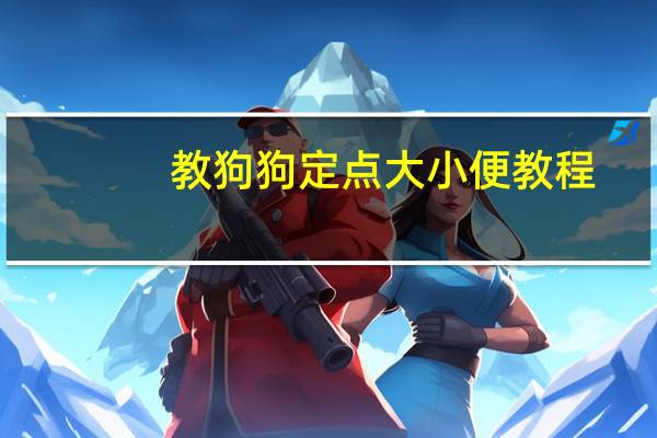 教狗狗定点大小便教程