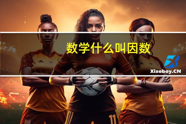 数学　什么叫因数