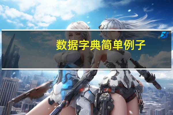 数据字典简单例子