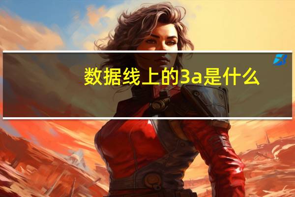 数据线上的3a是什么