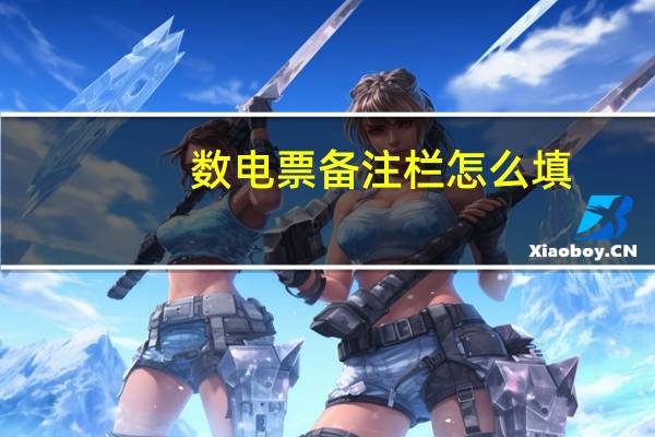 数电票备注栏怎么填