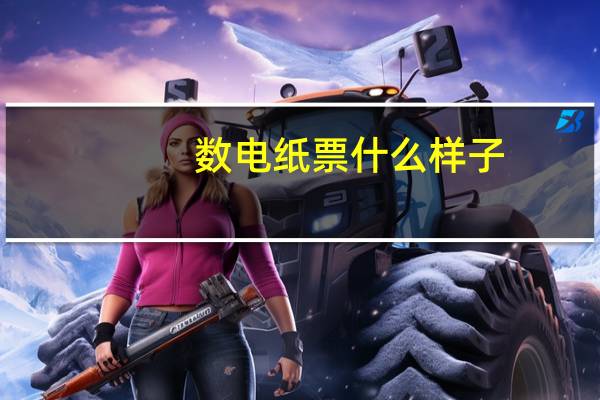 数电纸票什么样子