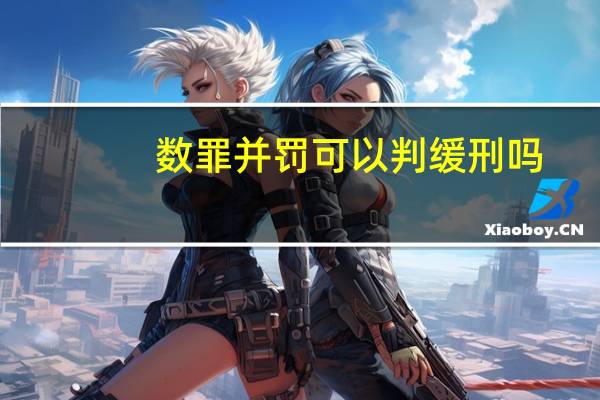 数罪并罚可以判缓刑吗